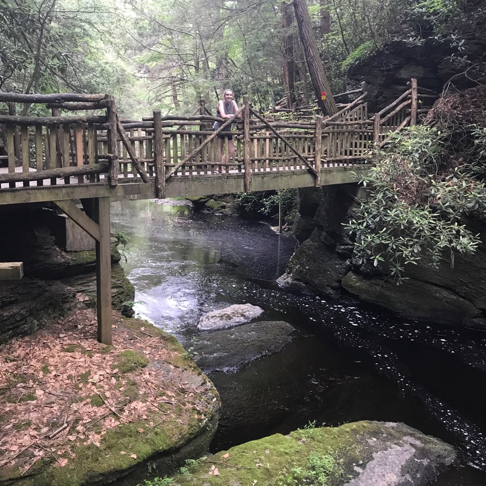 Meet your Posher, Emma